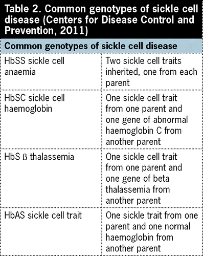 Sickle Cell Disease Little Cell Of Mine Foundation 